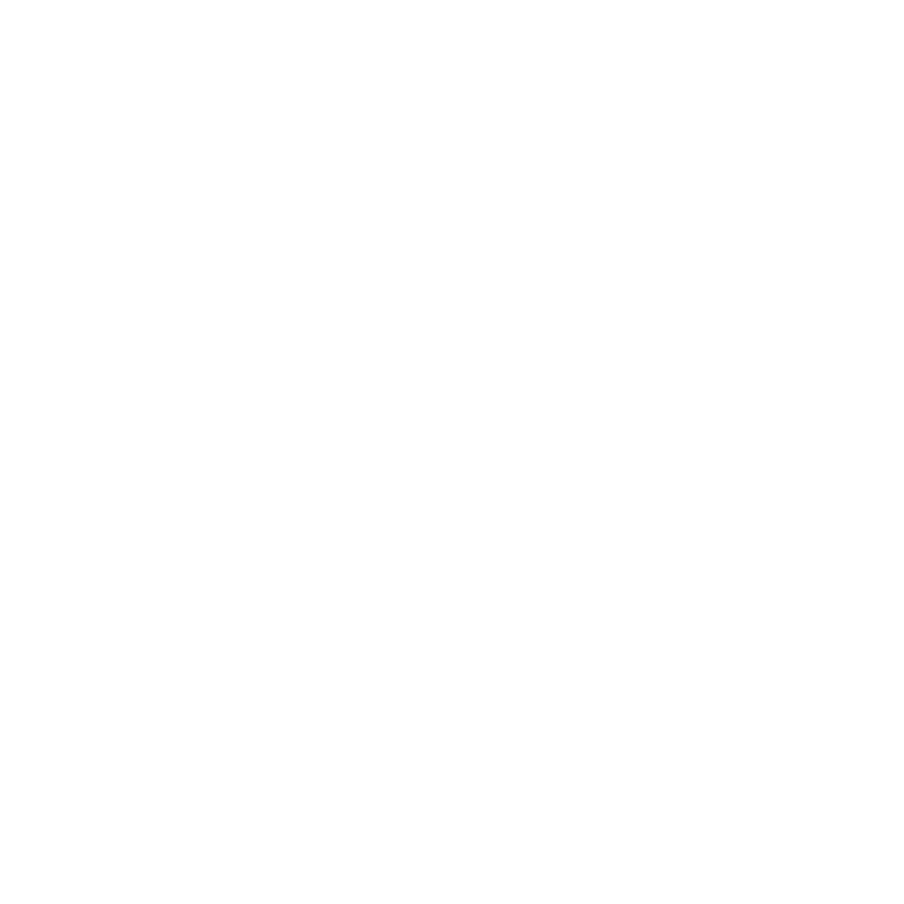 IMG Academy Sports Camps