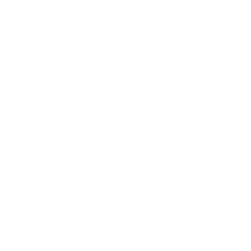Transportation icon white