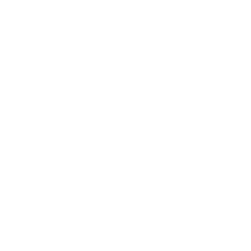 Excursions icon white