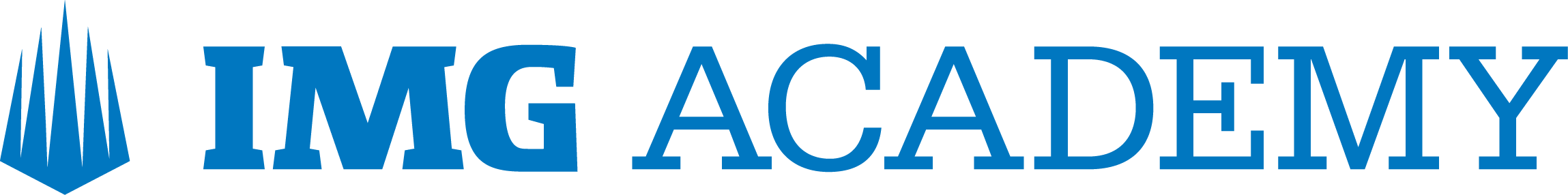 im academy logo im academy logo