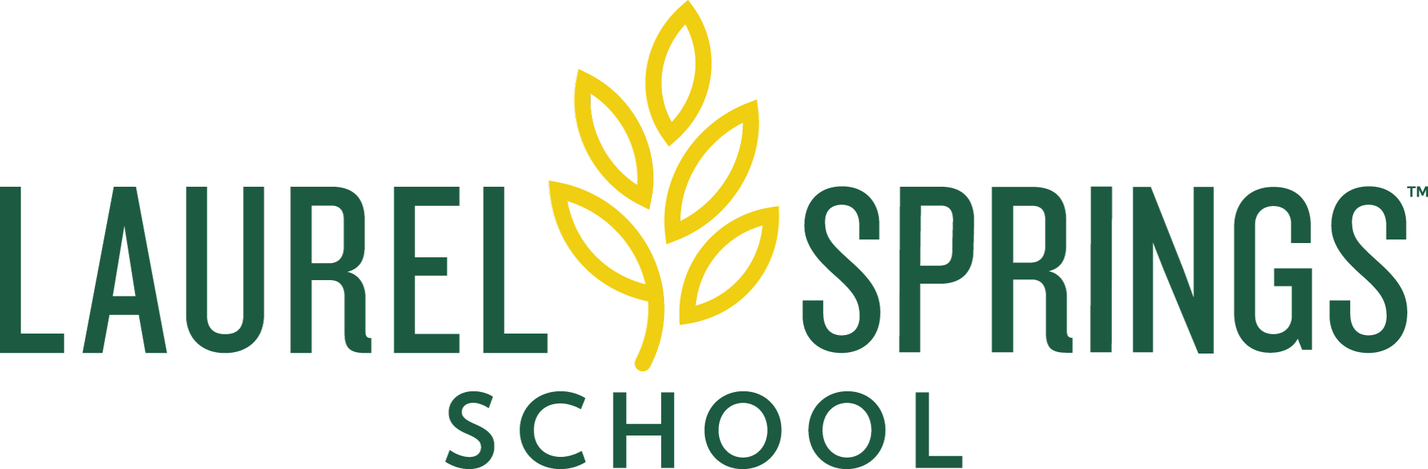 Laurel Springs School