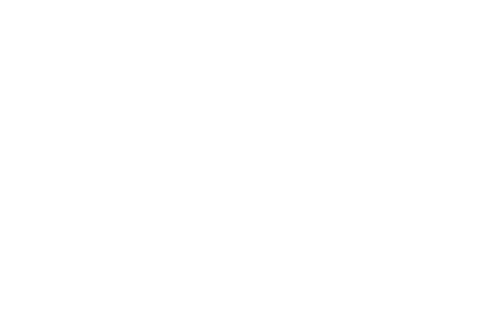 British International School of Houston